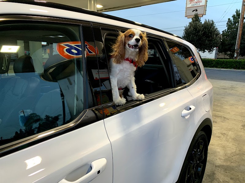 Aaron Lanning Real Estate