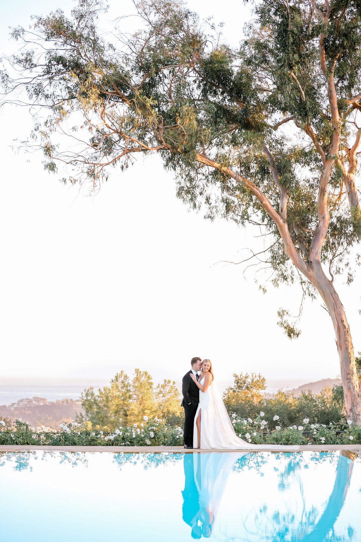 Alicia Q Photography