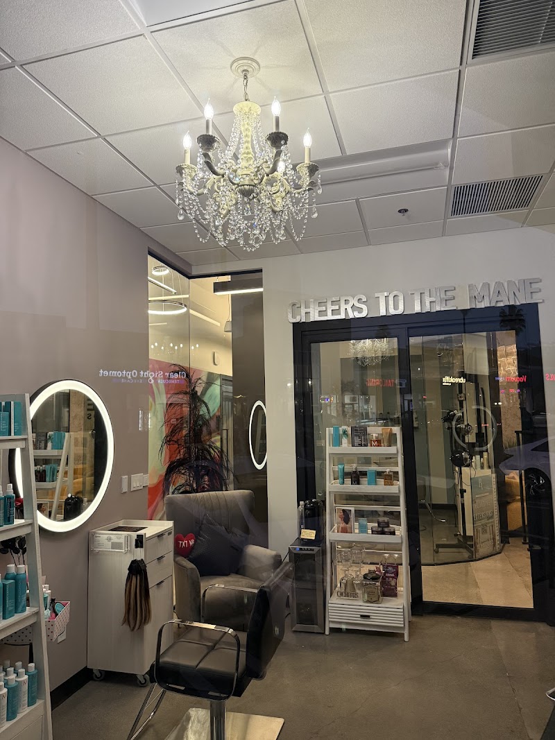 Cheers to the Mane Salon Studio