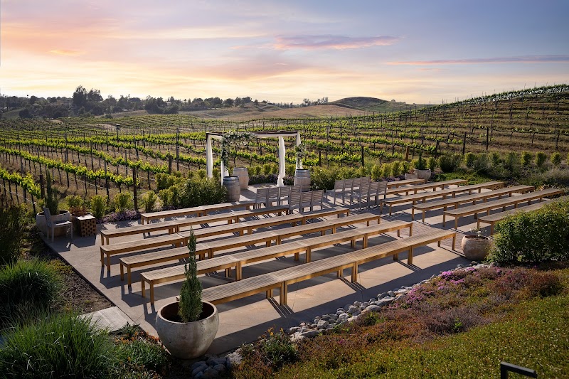 Danza Del Sol by Wedgewood Weddings