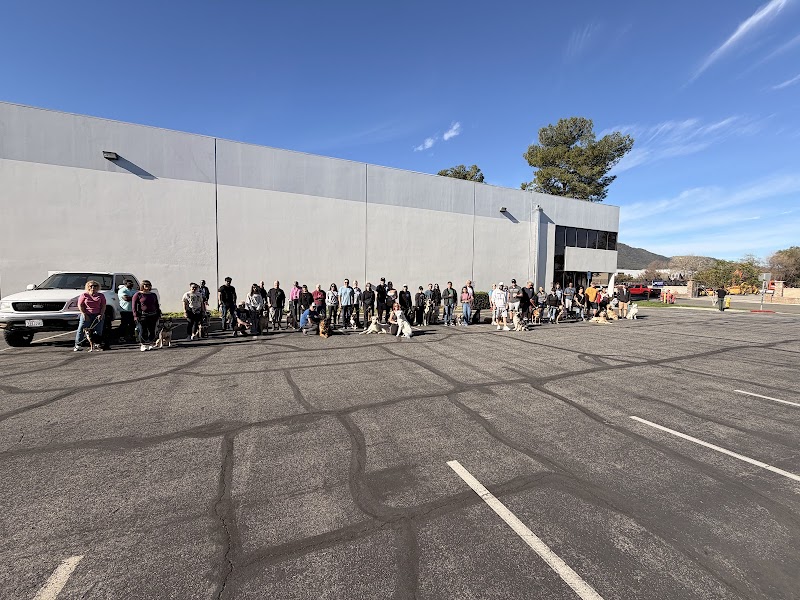 Epic Dog Academy LLC