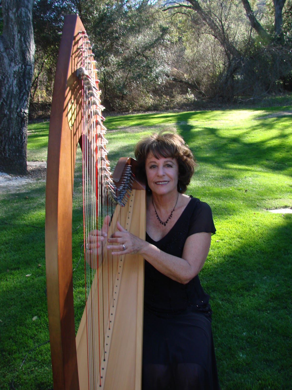 Harpist from the Heart