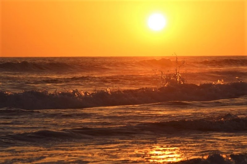 Law Office of Attorney David Nelson