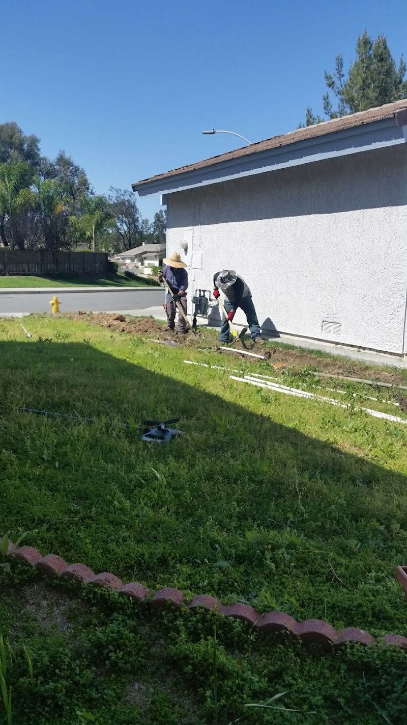 M Z Vasquez Landscaping