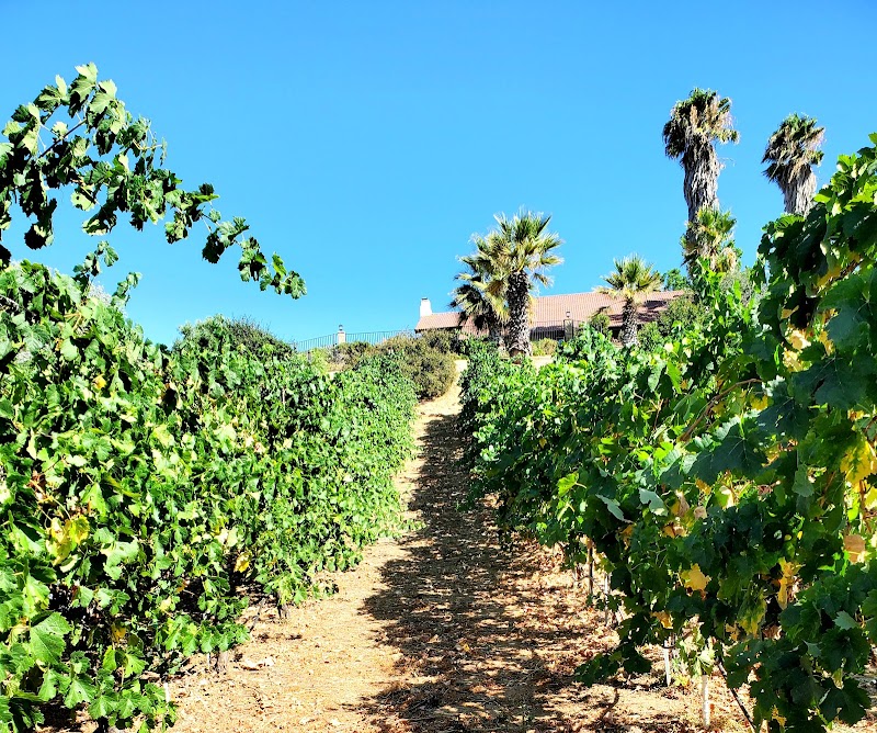 Miranda Vineyards