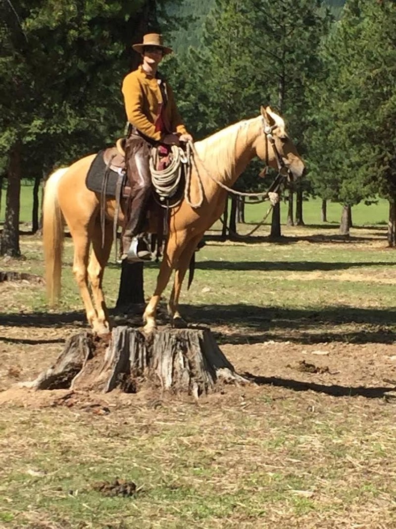 Murrieta Equine Associates