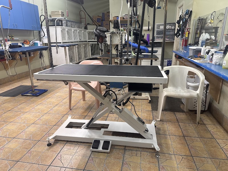 Pet Care Grooming Supplies