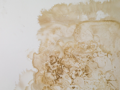 Rona Restoration Water and Smoke