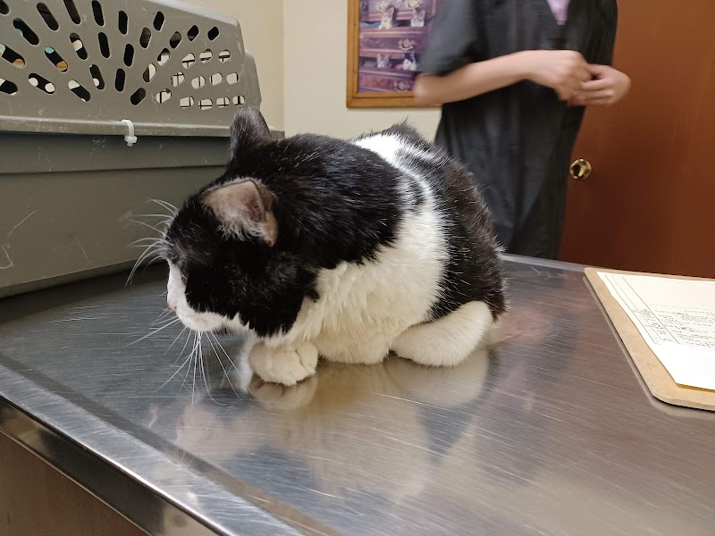 Sun City Veterinary Clinic