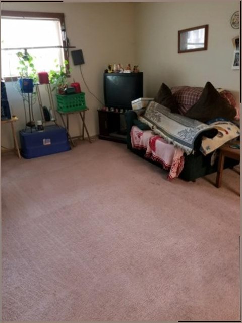 Temecula Carpet Cleaning Service