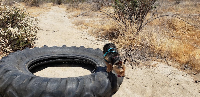 Temecula Valley Pool