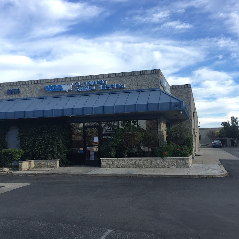 VCA El Rancho Animal Hospital
