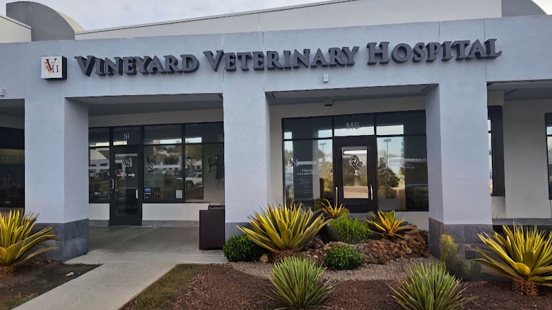 Vineyard Veterinary Hospital