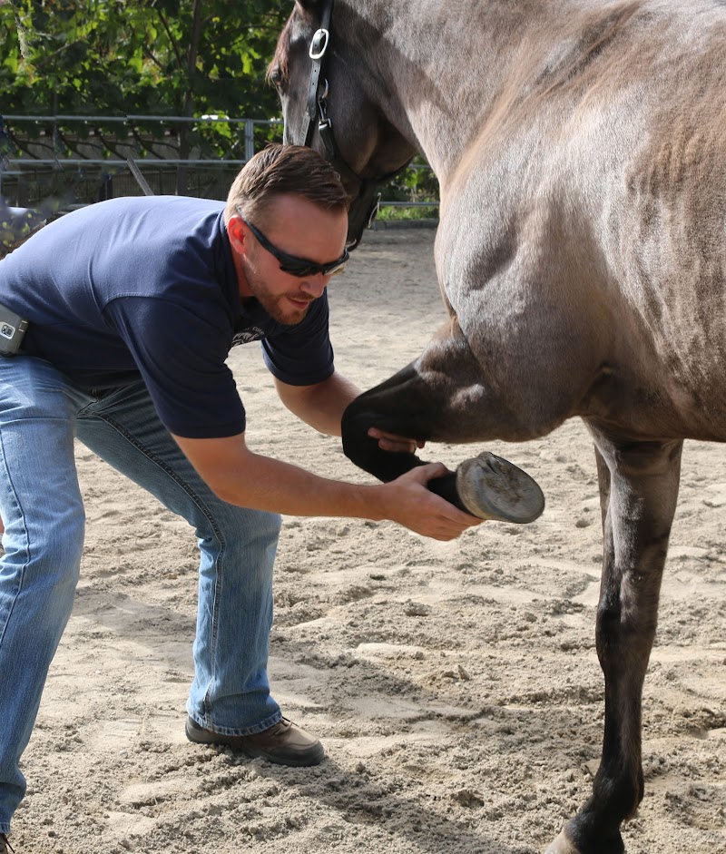 West Coast Equine Medicine